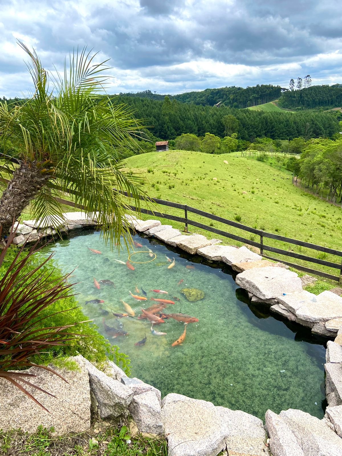 Lago ornamental com jardim de pedras naturais